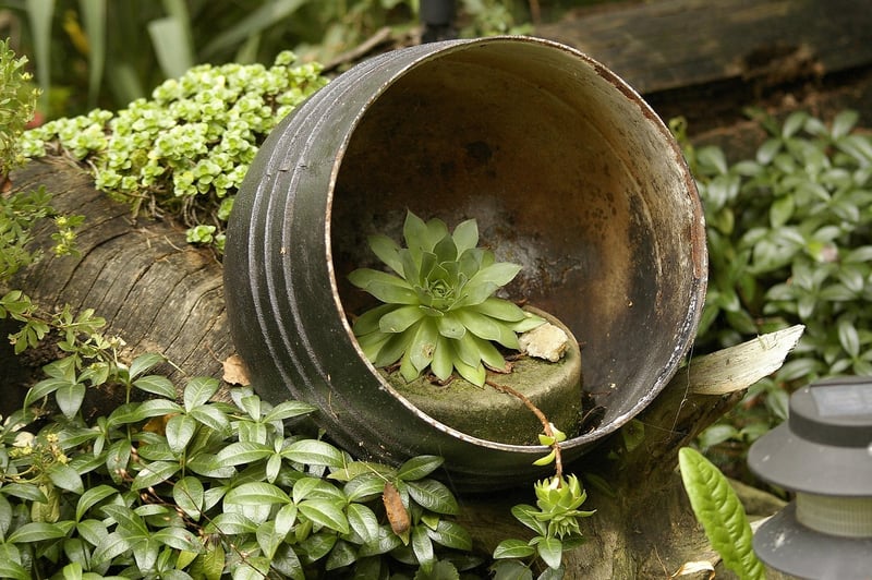 Garden Ideas